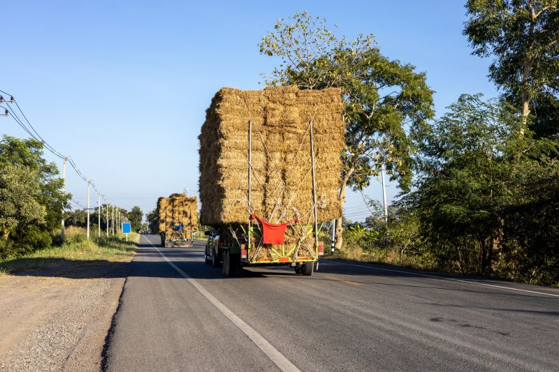 Pine Bark Delivery Truck
